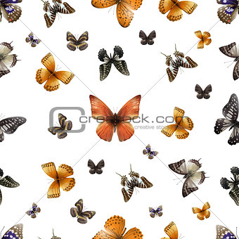 butterfly s