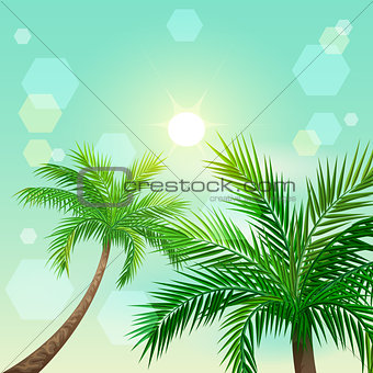 Tropical palm trees and sun in zenith