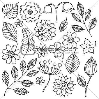 Drawings of flowers and leaves theme 1