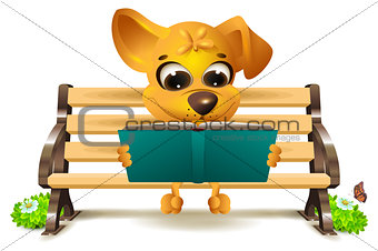 Yellow dog sits on bench and reads book