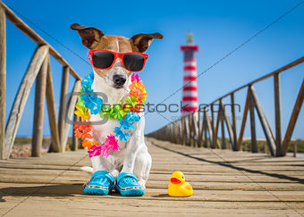 dog at the beach and ocean with plastic duck 
