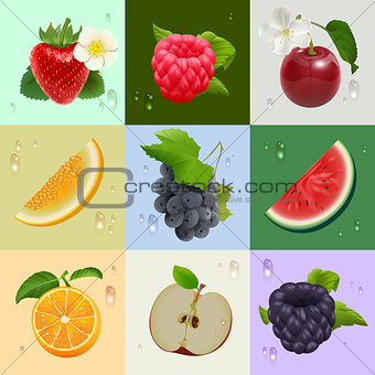 Set of ripe fruits strawberry, raspberry, cherry, melon, watermelon, apple, orange, grapes, blackberries