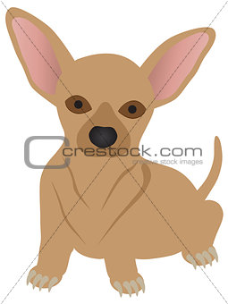 Chihuahua Dog Illustration