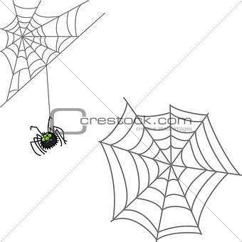 Spider and web. Halloween icon isolated on white background