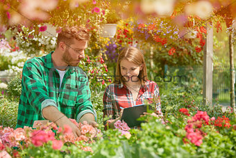 Man and woman working with garden flowers