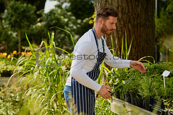Wale gardener working with plants