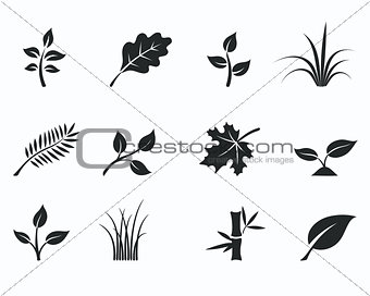 Black monochrome floral icon set