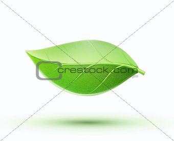 Eco concept icon