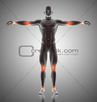 3D male figure with joints highlighted