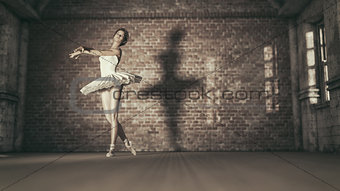 Young and beautiful ballerina 