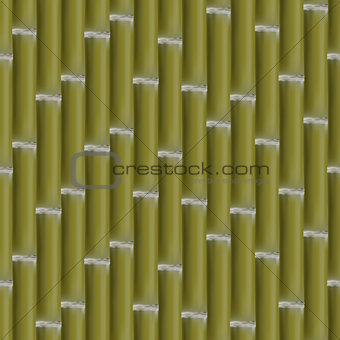 Seamless background of bamboo stalks, vector illustration.