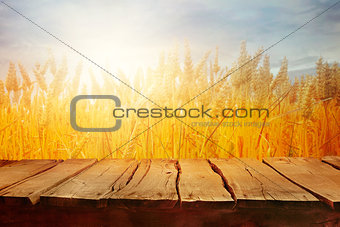 Wheat field in summer with table