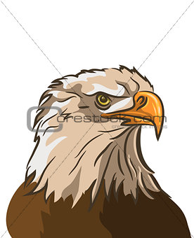 eagle isolated on white background. vector