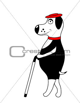 Dog with hat and cane. isolated. vector.
