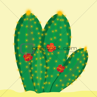 Green cactus with flowers on yellow background