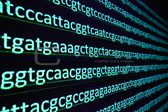 Sequencing the gene. 