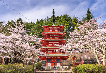 Pagoda and Cherry Blossoms