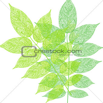 Tree leaves pattern illustration
