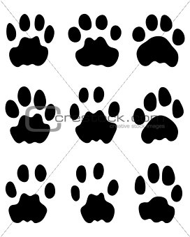 Black footprints of leopard