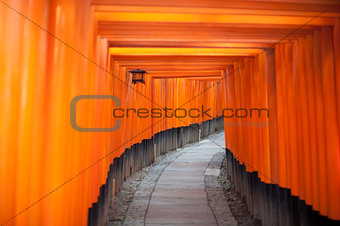 Tunnel of red Torii gates at Fushimi, Japan