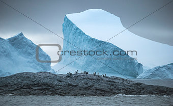 Wide-angle shooting of a group of penguins on stones surrounded by icebergs and water. Andreev.