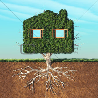 House shaped green tree 