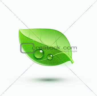 Green environment concept icon