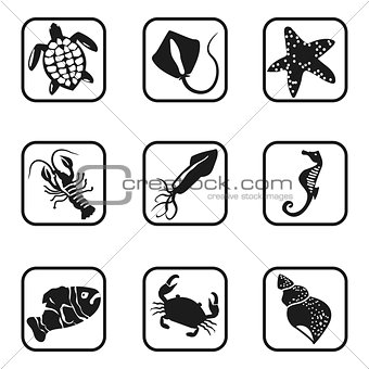 See animals icons on white background.