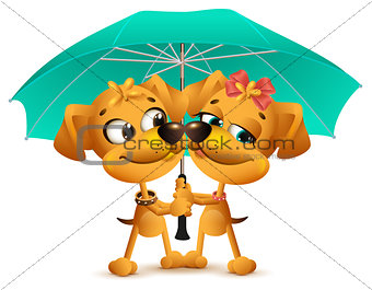 Yellow dog loving couple holding an umbrella