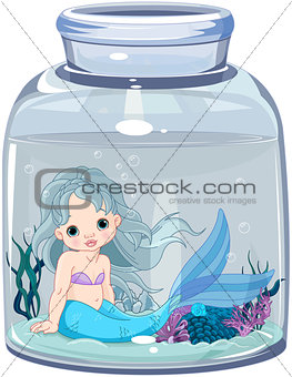 Mermaid in the jar 