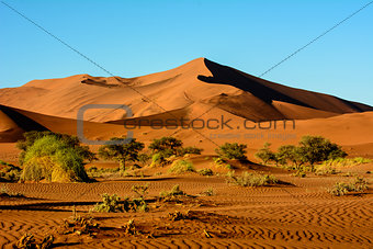 Stunning landscapes of the Namib desert