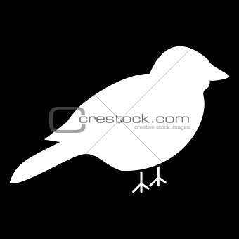 Bird the white color icon .