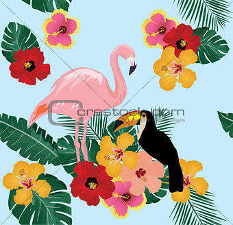 Flamingo and Toucan