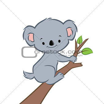 Cartoon Koala