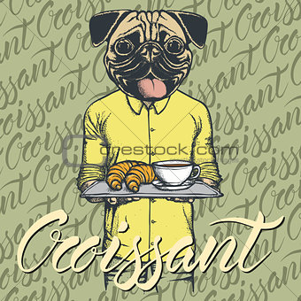 Vector Illustration of pug dog with croissant and coffee