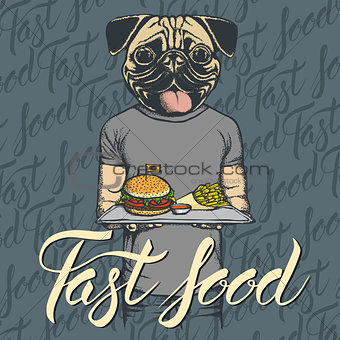 Vector Illustration of pug dog with burger and French fries