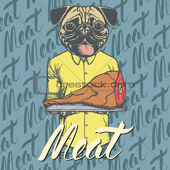 Vector pug dog with meat ham illustration
