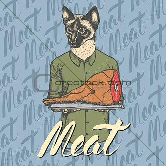 Vector cat with meat ham illustration