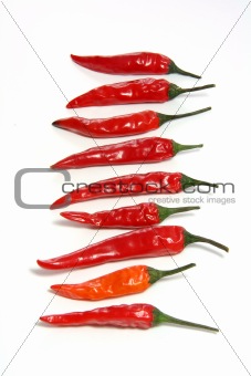 small red hot chilli peppers in row