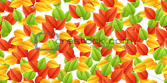 multicolored leaves autumn