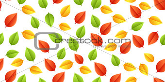 multicolored leaves autumn