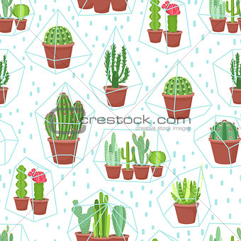 Succulents seamless background. Cactuses and succulents in terrariums geometric florariume. Seamless geometric modern pattern