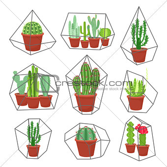 Geometric florarium with succulents set. Vector illustration.