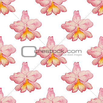 Tropical pattern with orchids
