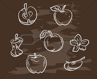 Collection of hand-drawn apple on blackboard. Retro vintage style food design. Vector illustration.