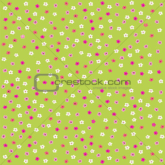 Seamless floral pattern with cute little flowers vector image