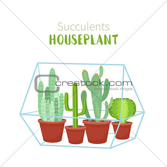 Geometric florarium with succulents set. Vector illustration.