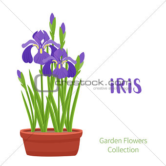 Spring flowers in flower pots. Irises, lilies of valley, tulips, narcissuses, crocuses and other primroses. Garden design icons isolated on white background