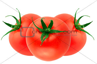 three fresh tomatoes isolated on white