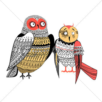Vector graphics two funny owls 